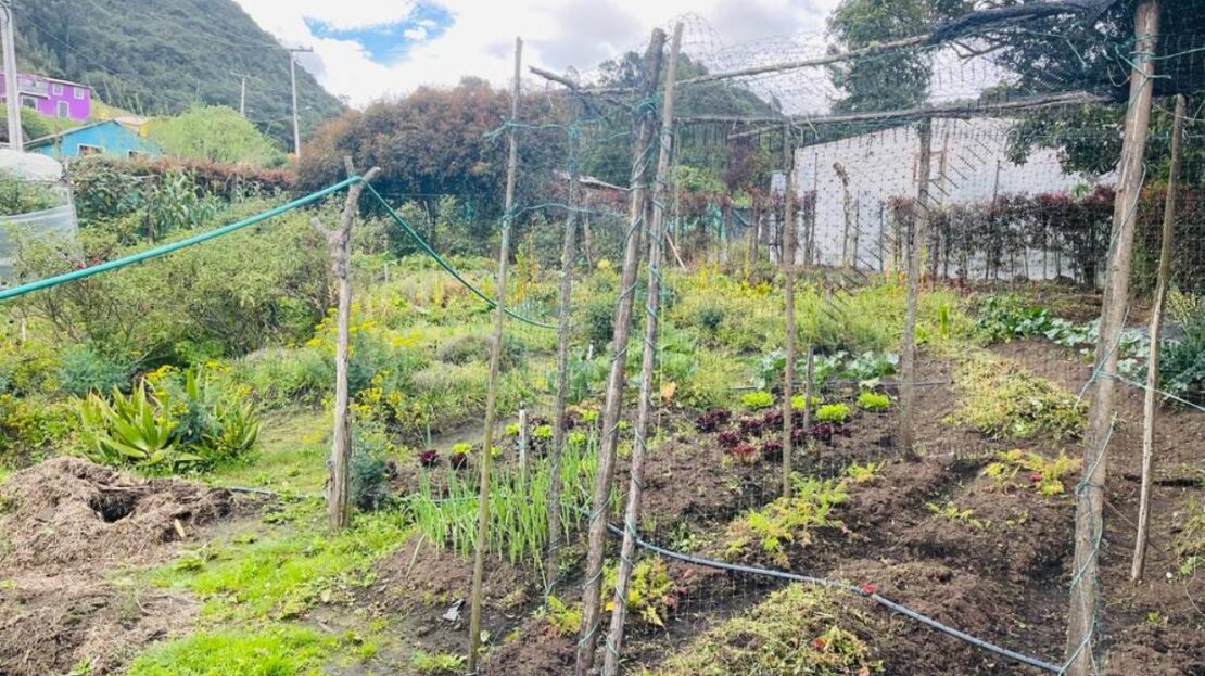 WhatsApp Image 2023 11 10 at 13.35.53 18