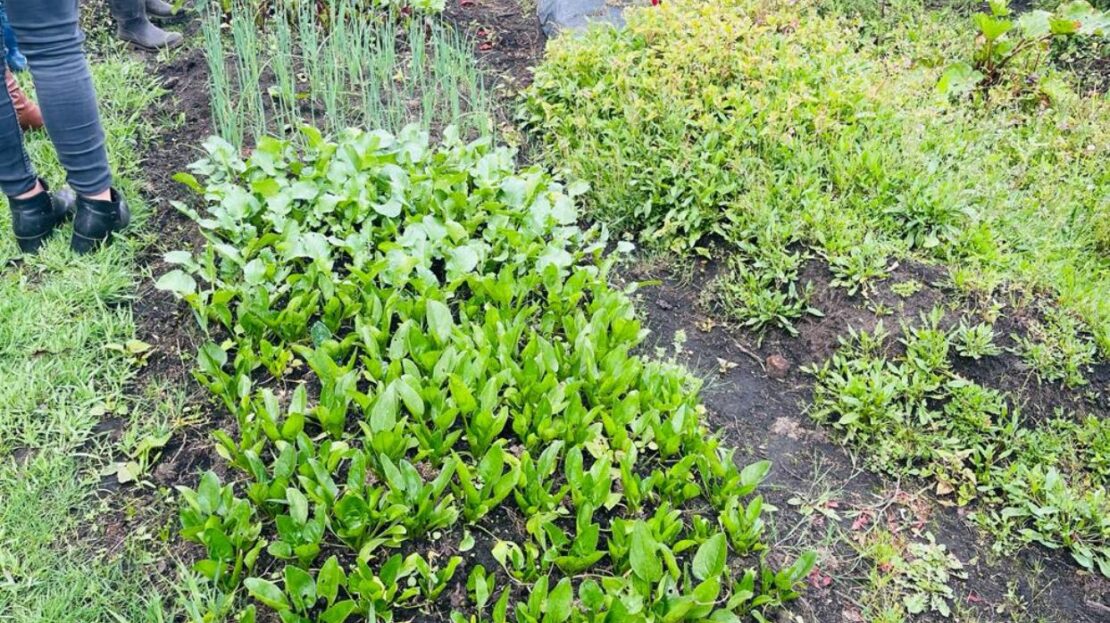 WhatsApp Image 2023 11 10 at 13.35.53 20