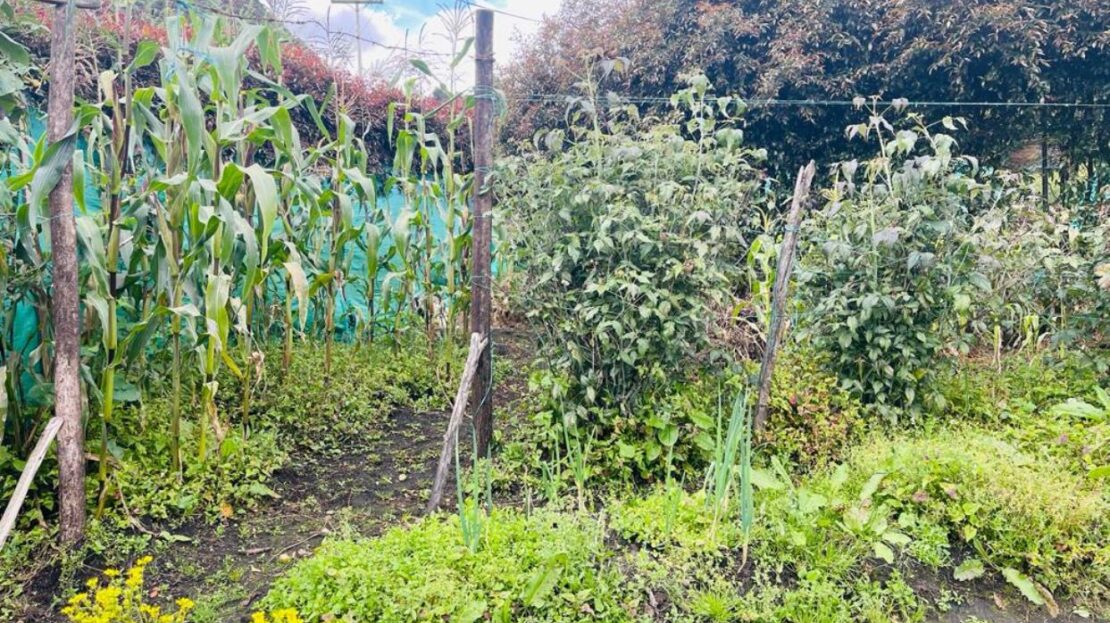 WhatsApp Image 2023 11 10 at 13.35.53 21