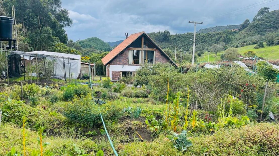 WhatsApp Image 2023 11 10 at 13.35.53 22