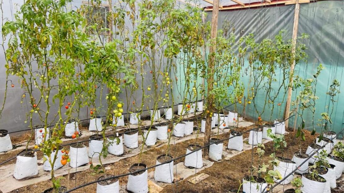 WhatsApp Image 2023 11 10 at 13.35.53 23