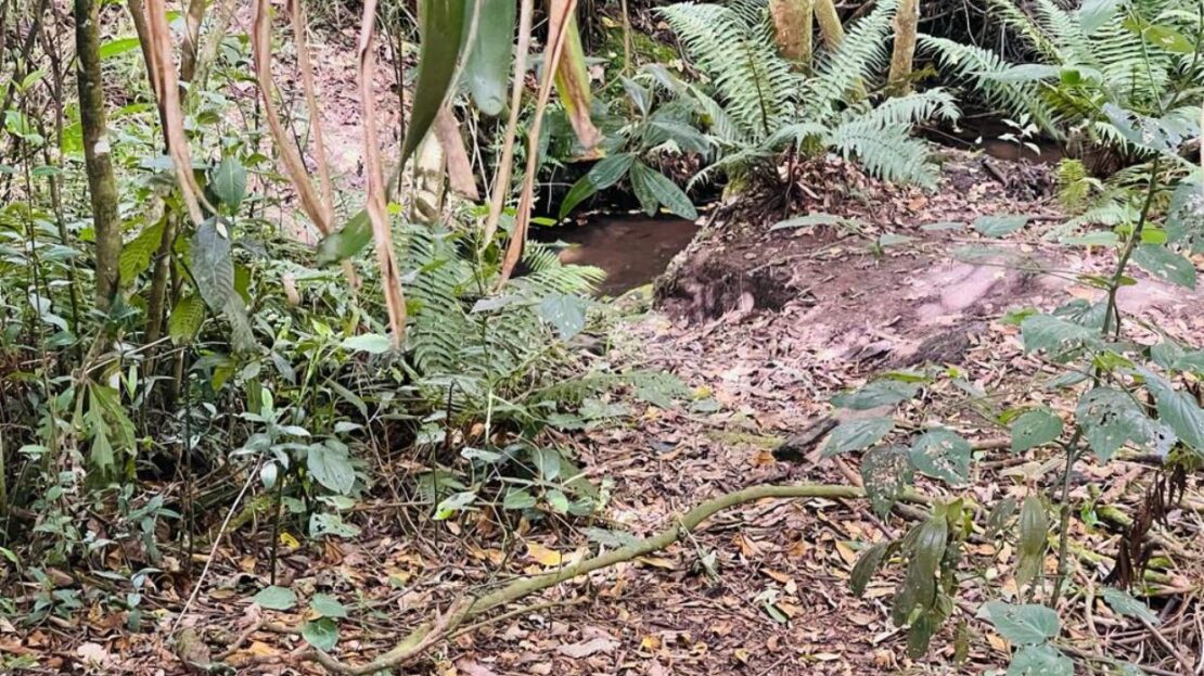 WhatsApp Image 2023 11 10 at 13.35.53 4