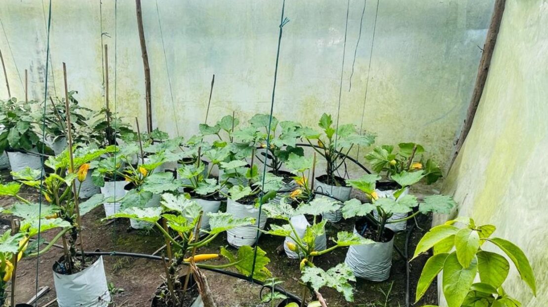 WhatsApp Image 2023 11 10 at 13.35.53 6