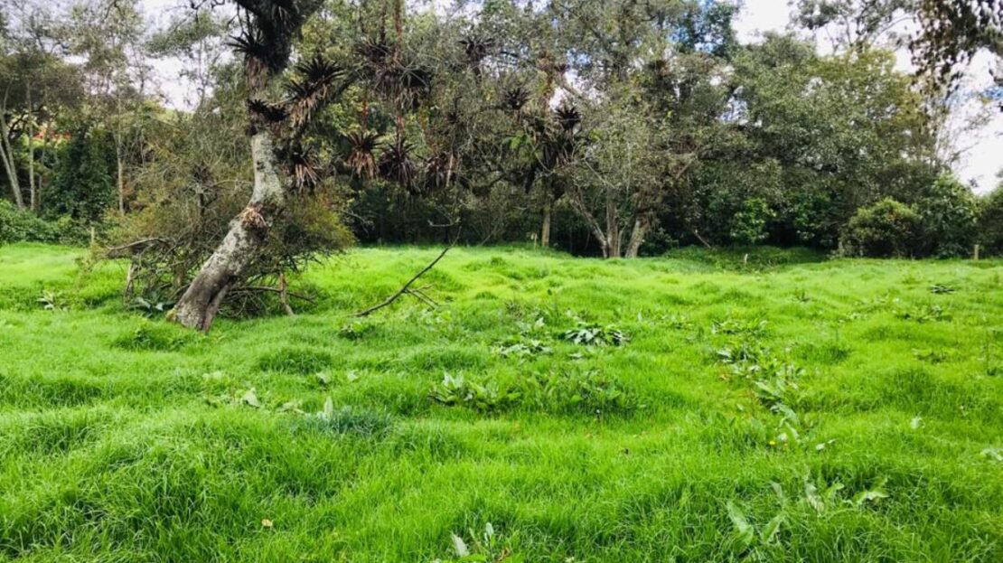 WhatsApp Image 2021 09 25 at 11.46.06 AM 15