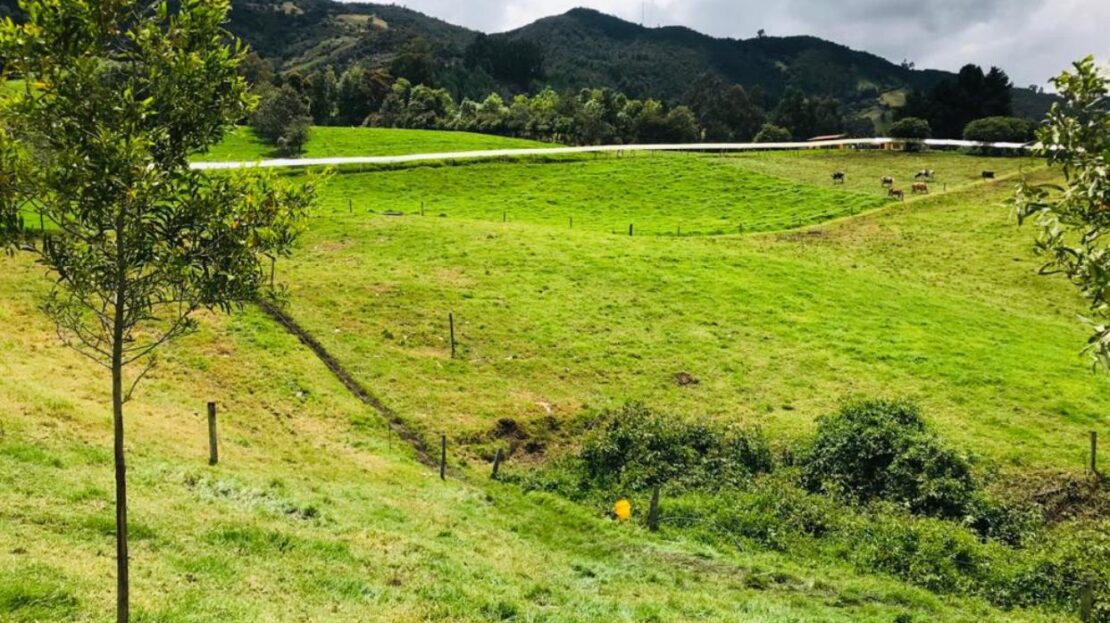 WhatsApp Image 2021 09 25 at 11.46.06 AM 4