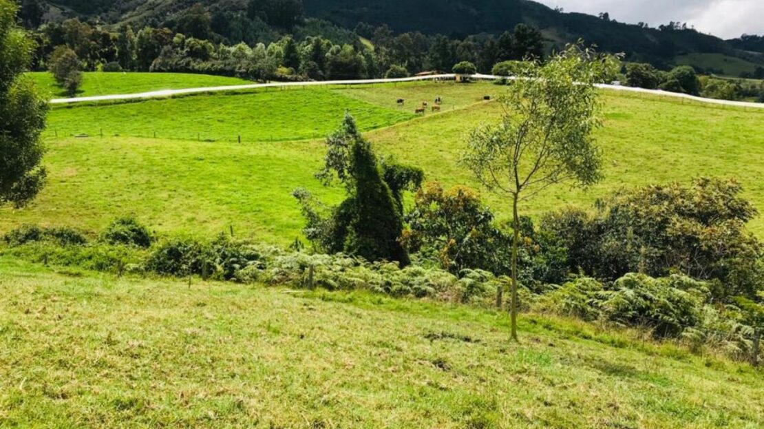 WhatsApp Image 2021 09 25 at 11.46.06 AM 6