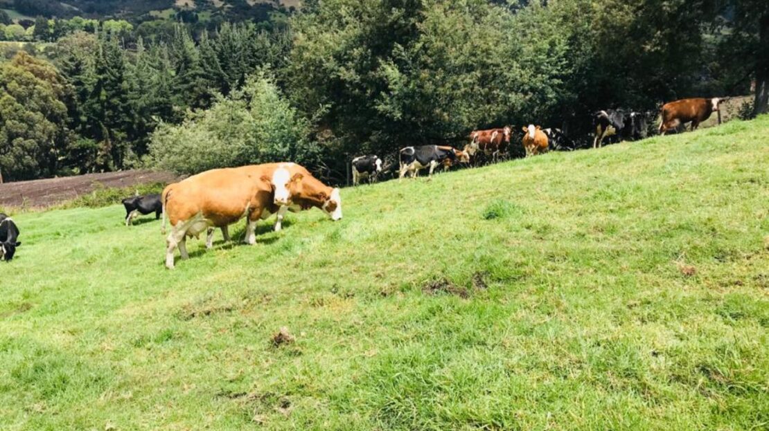 WhatsApp Image 2021 09 25 at 11.46.06 AM 7