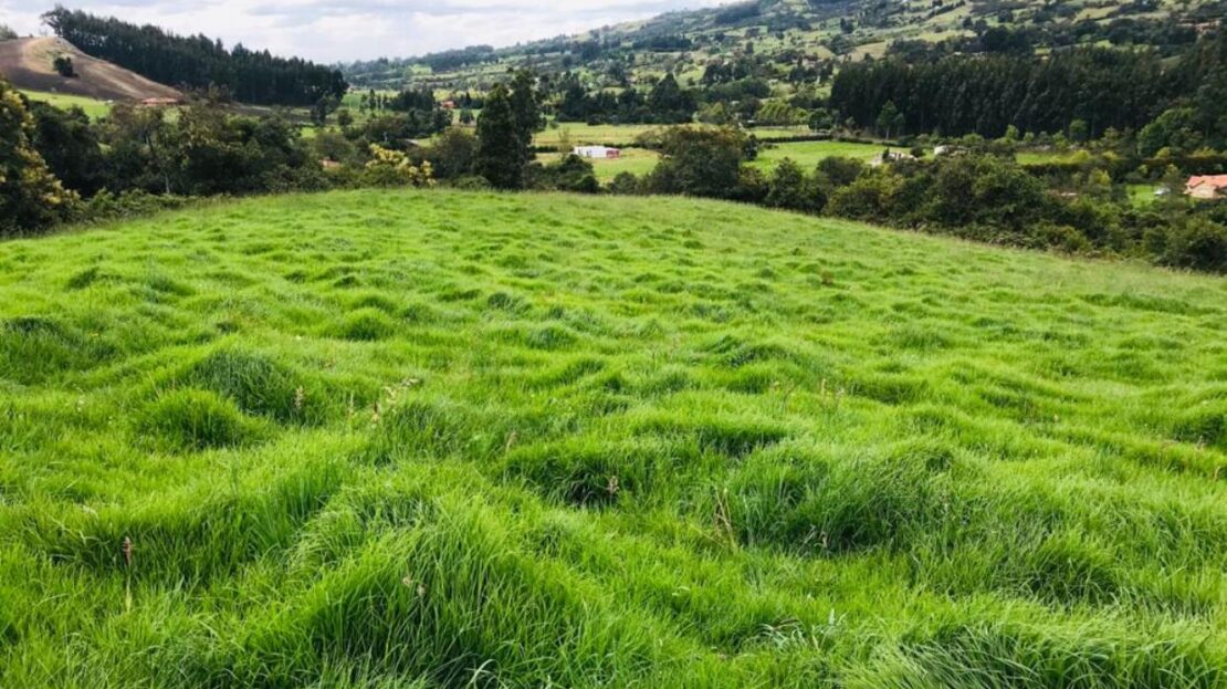 WhatsApp Image 2021 09 25 at 11.46.06 AM 9