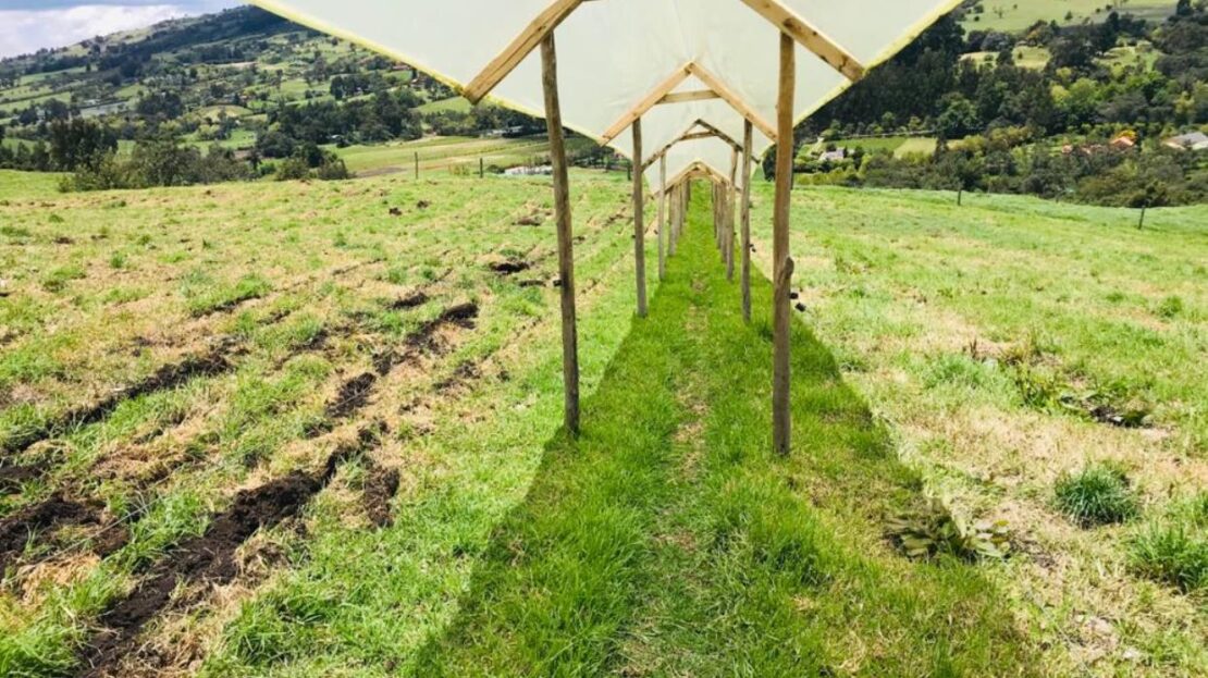 WhatsApp Image 2021 09 25 at 11.47.29 AM