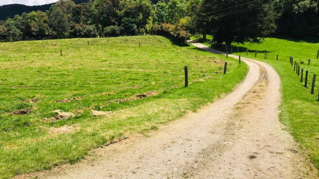 WhatsApp Image 2021 09 25 at 11.47.29 AM 3