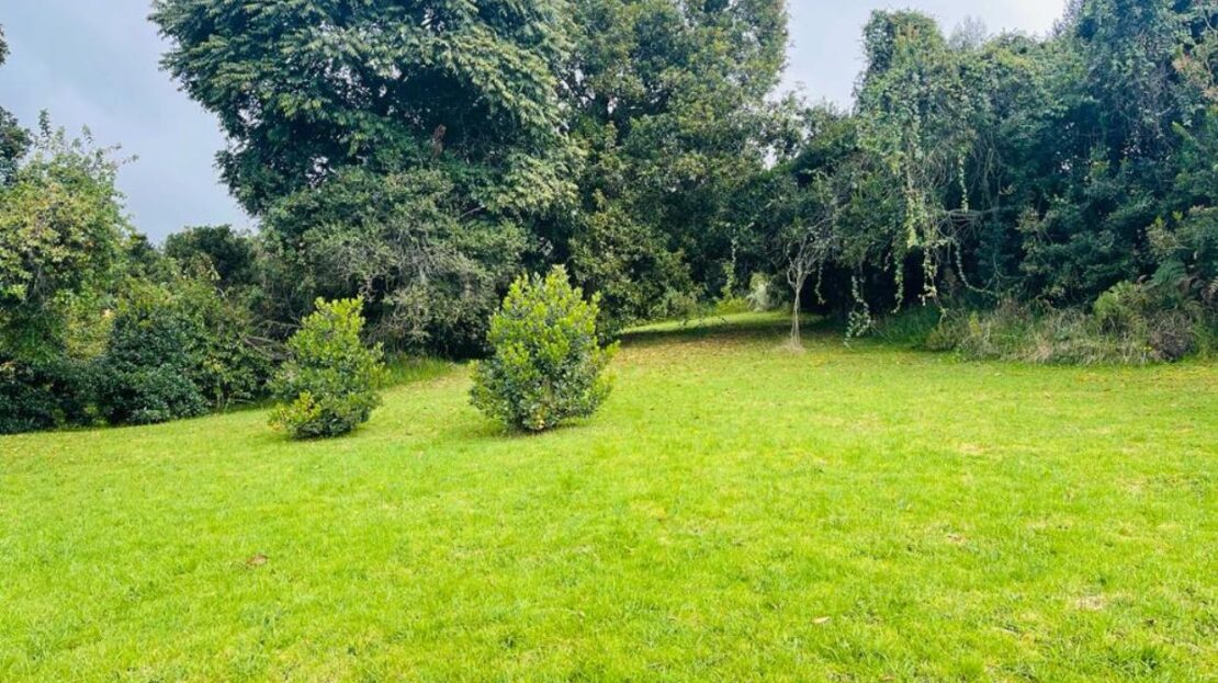 WhatsApp Image 2023 12 26 at 13.14.01