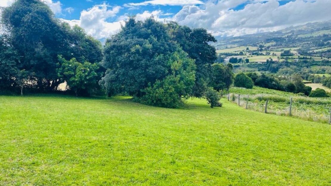 WhatsApp Image 2023 12 26 at 13.14.02 1