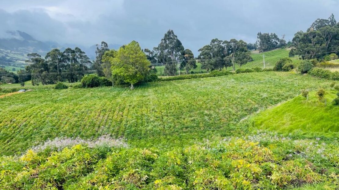 WhatsApp Image 2023 12 26 at 13.14.02 2