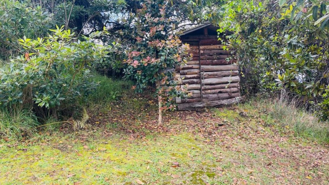 WhatsApp Image 2023 12 26 at 13.14.02 8