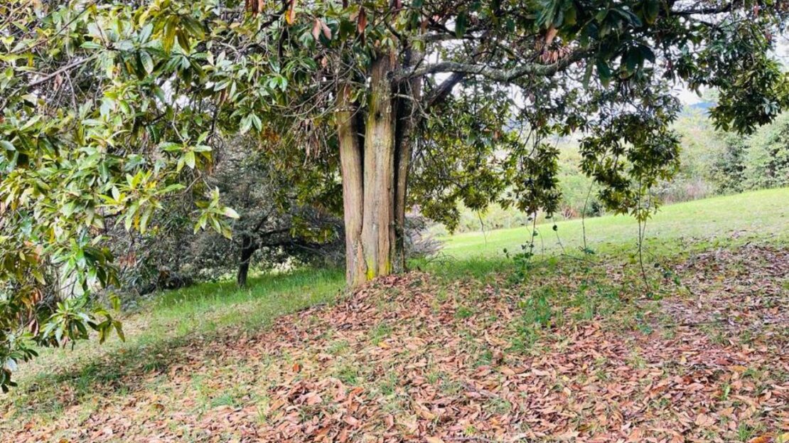 WhatsApp Image 2023 12 26 at 13.14.03