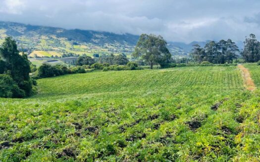 WhatsApp Image 2023 12 26 at 13.14.03 3