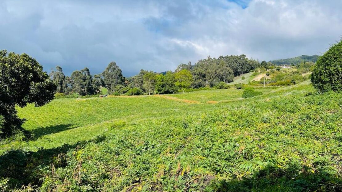 WhatsApp Image 2023 12 26 at 13.14.04 1