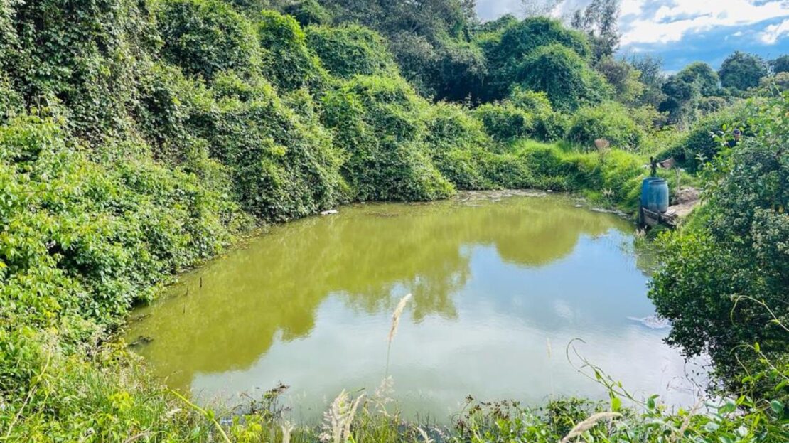 WhatsApp Image 2023 12 26 at 13.14.04