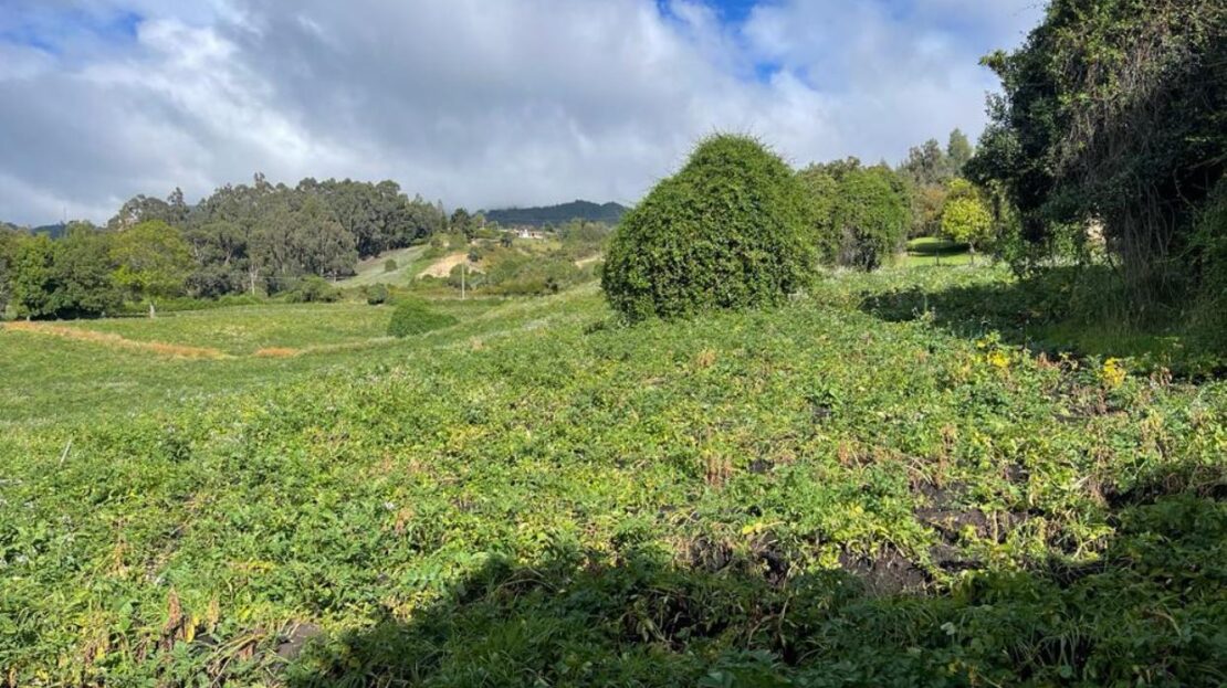 WhatsApp Image 2023 12 26 at 13.14.04 4