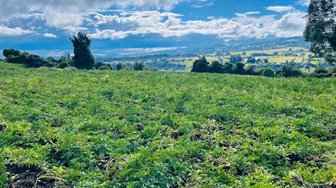 WhatsApp Image 2023 12 26 at 13.14.04 5