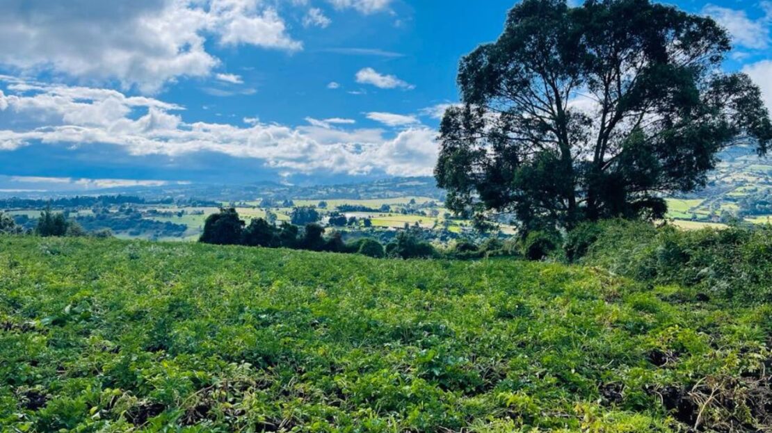 WhatsApp Image 2023 12 26 at 13.14.04 6