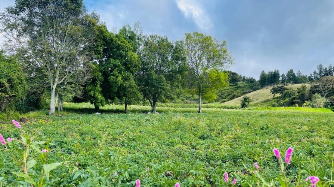 WhatsApp Image 2023 12 26 at 13.14.04 7