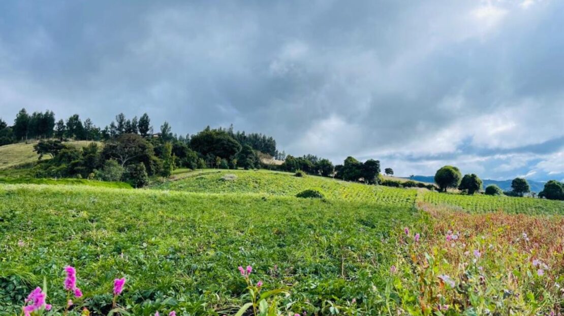 WhatsApp Image 2023 12 26 at 13.14.04 8