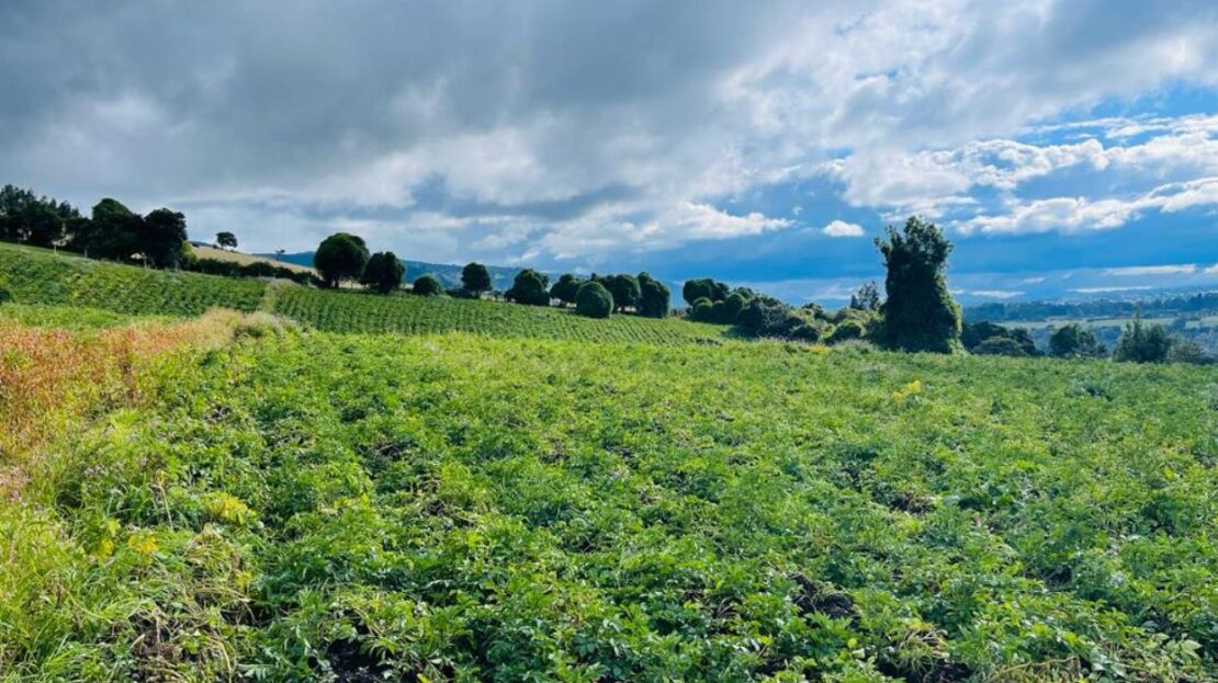 WhatsApp Image 2023 12 26 at 13.14.04 9