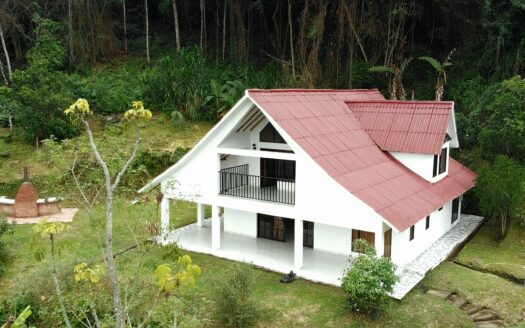 Screenshot 20240215 121724 Gallery