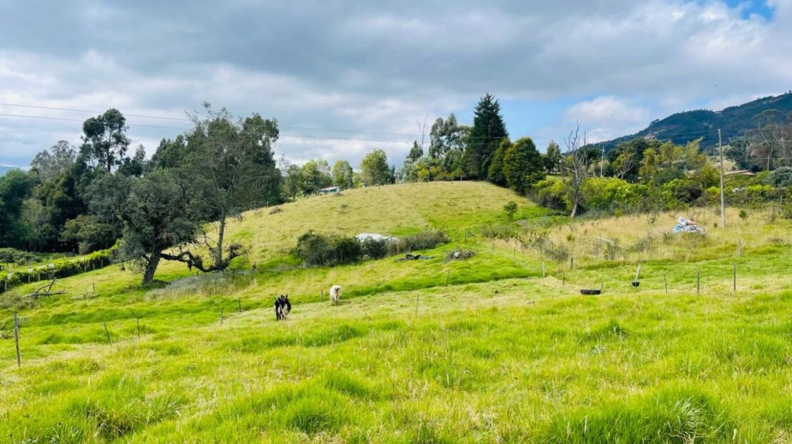 WhatsApp Image 2024 02 20 at 10.19.32 AM 10