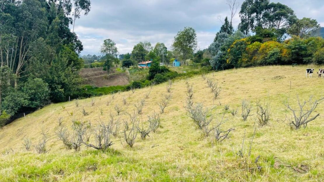 WhatsApp Image 2024 02 20 at 10.19.32 AM 2