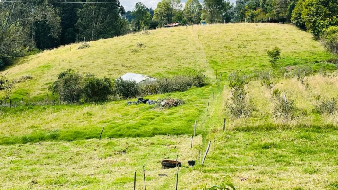 WhatsApp Image 2024 02 20 at 10.19.32 AM 6