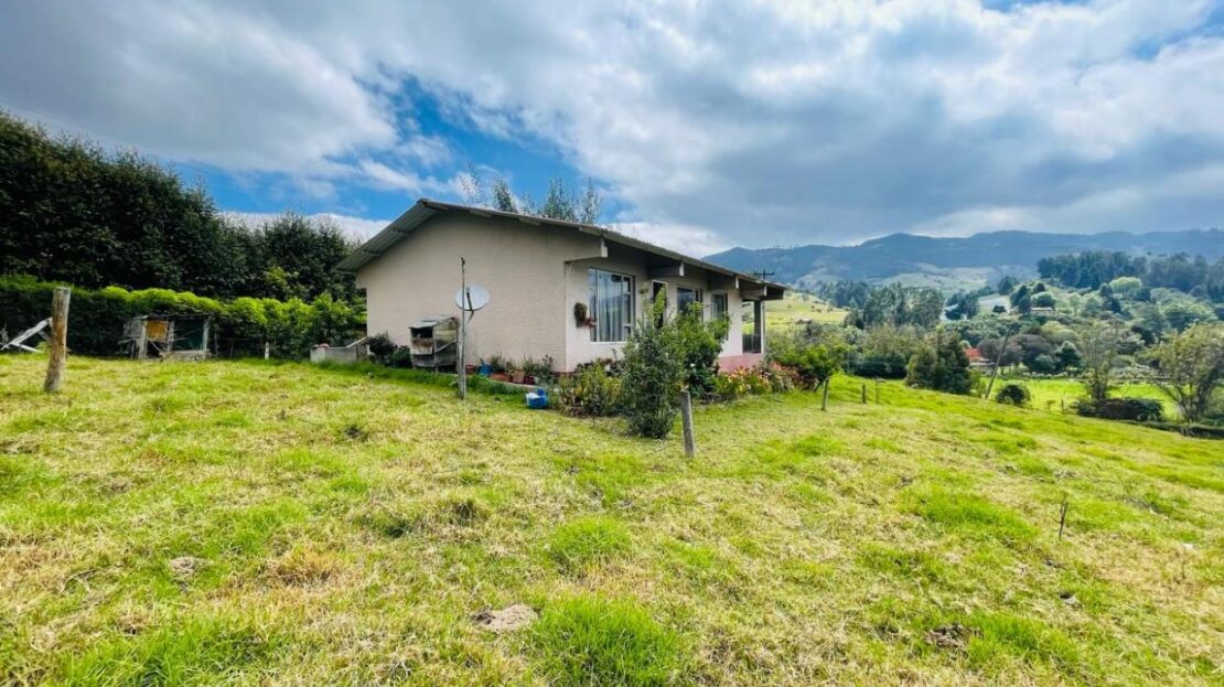 WhatsApp Image 2024 02 20 at 10.19.32 AM 8