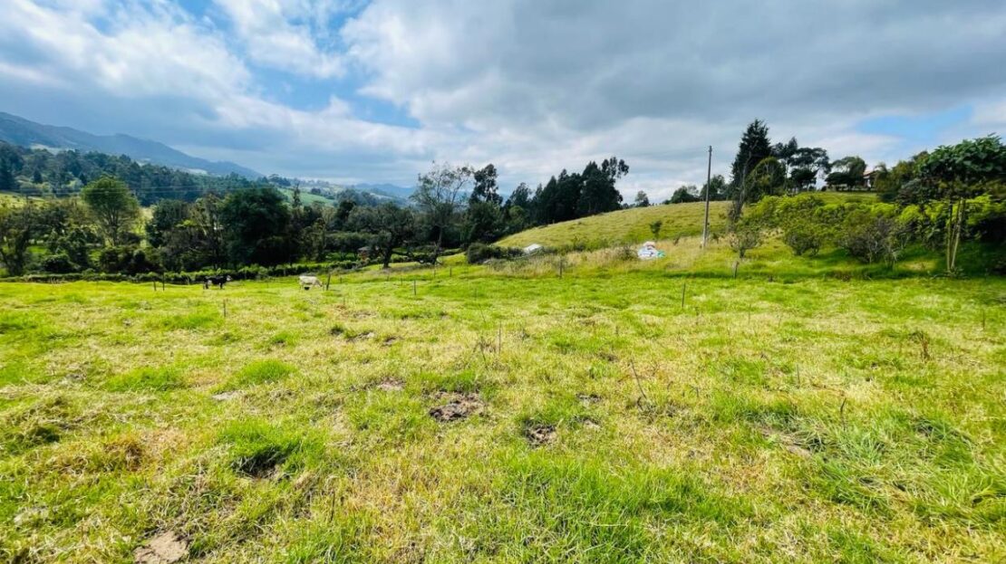 WhatsApp Image 2024 02 20 at 10.19.32 AM 9