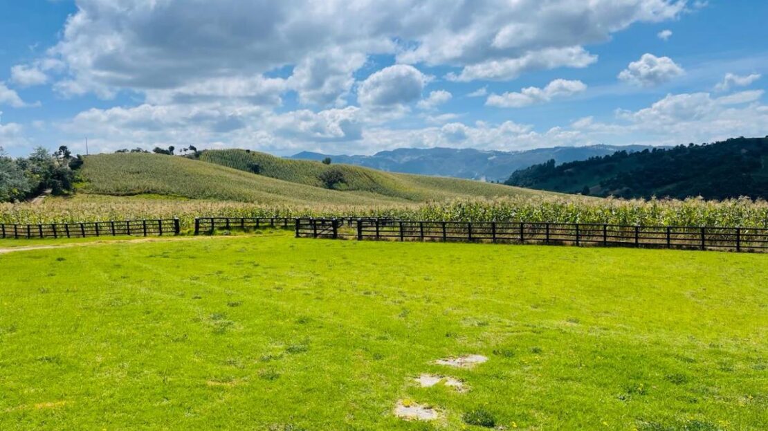 WhatsApp Image 2024 02 23 at 13.13.18 1