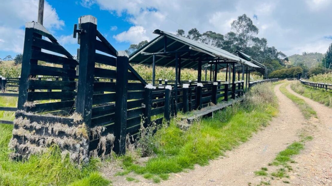 WhatsApp Image 2024 02 23 at 13.13.58 10