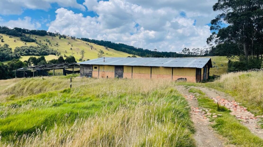 WhatsApp Image 2024 02 23 at 13.13.58 11