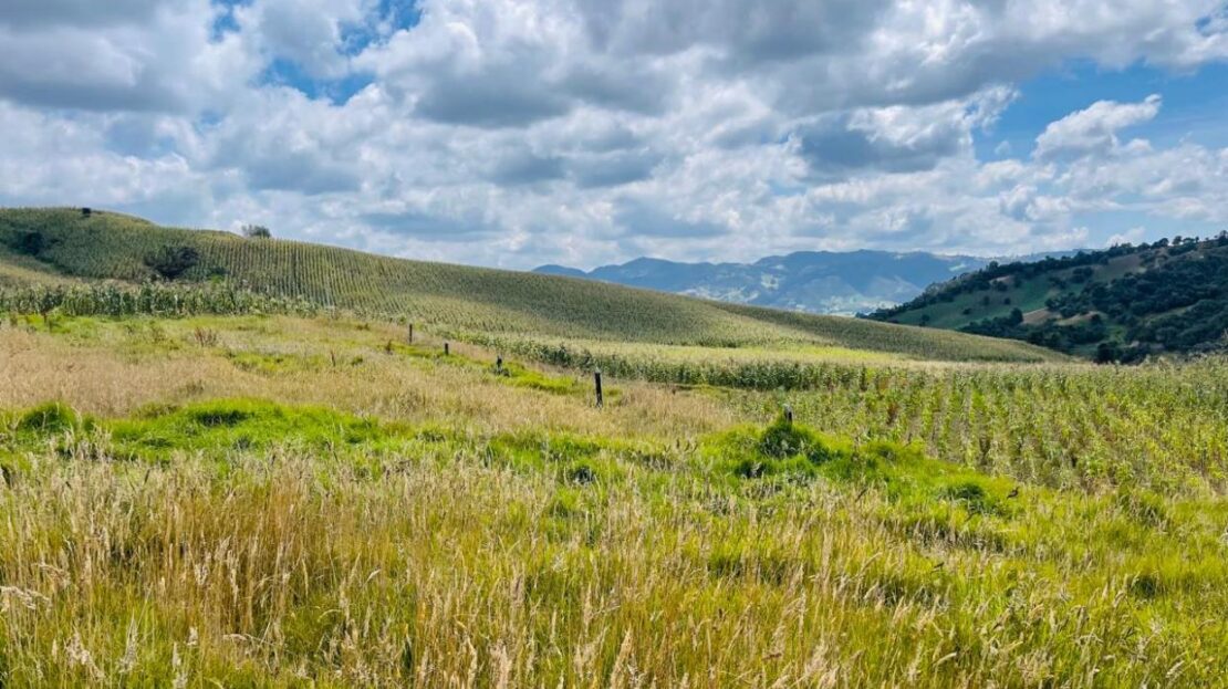 WhatsApp Image 2024 02 23 at 13.13.58 12