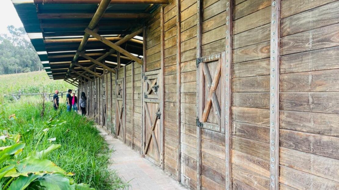 WhatsApp Image 2024 02 23 at 13.13.58 13