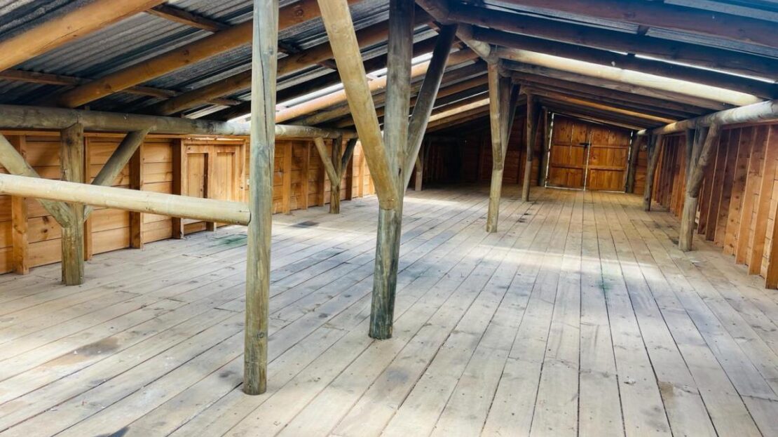 WhatsApp Image 2024 02 23 at 13.13.58 15