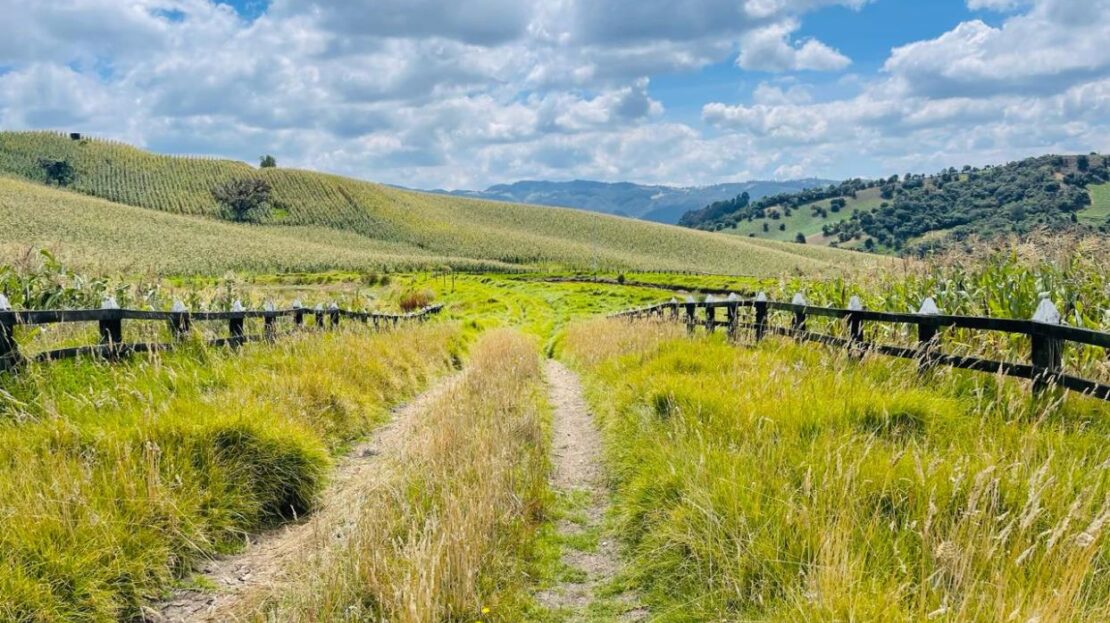 WhatsApp Image 2024 02 23 at 13.13.58 2