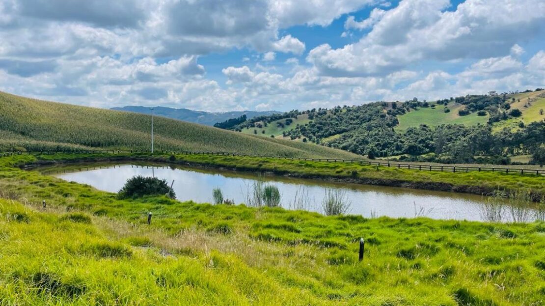 WhatsApp Image 2024 02 23 at 13.13.58 6