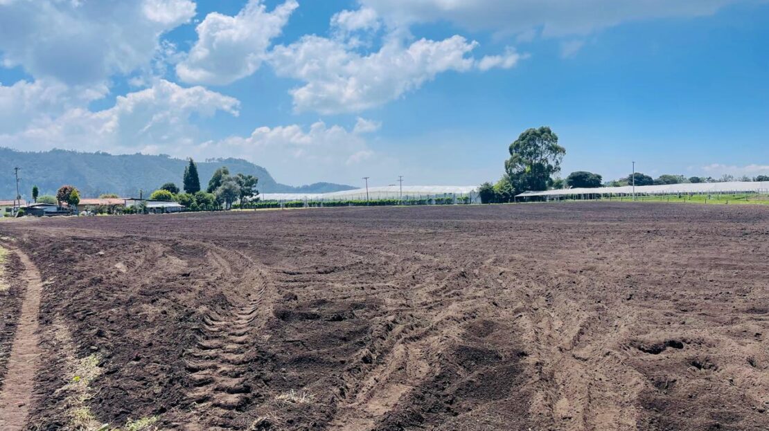 WhatsApp Image 2024 04 27 at 11.11.30 1