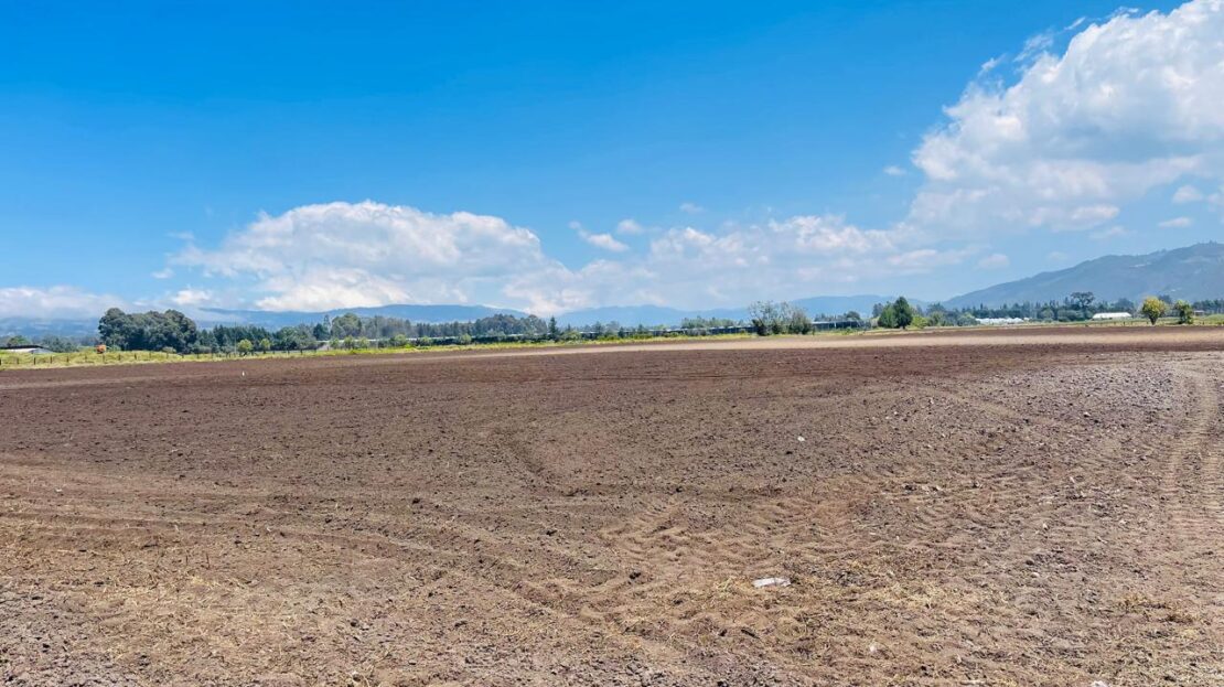 WhatsApp Image 2024 04 27 at 11.11.30 6