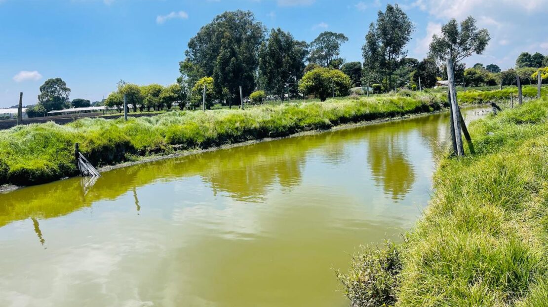 WhatsApp Image 2024 04 27 at 11.11.30 8