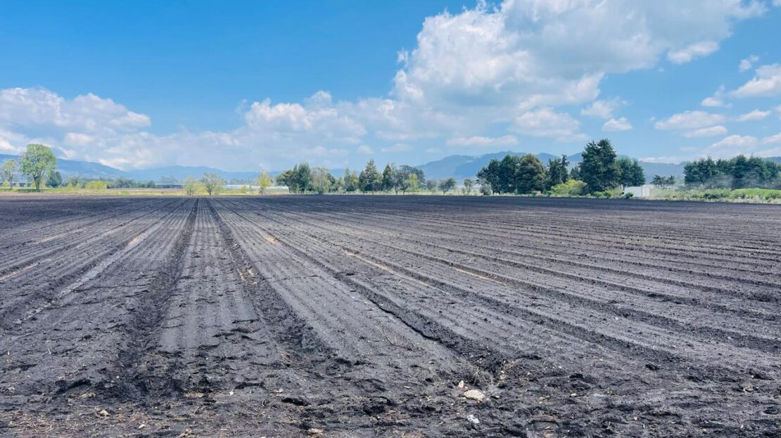 WhatsApp Image 2024 04 27 at 11.12.02 12