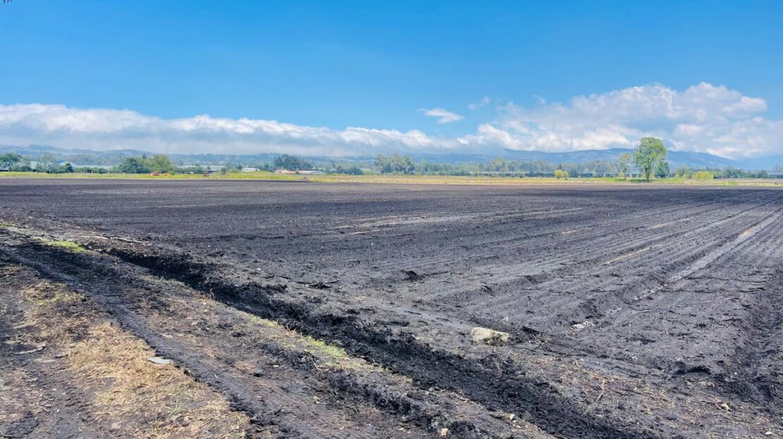 WhatsApp Image 2024 04 27 at 11.12.02 13