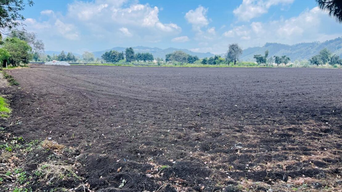 WhatsApp Image 2024 04 27 at 11.12.02 20