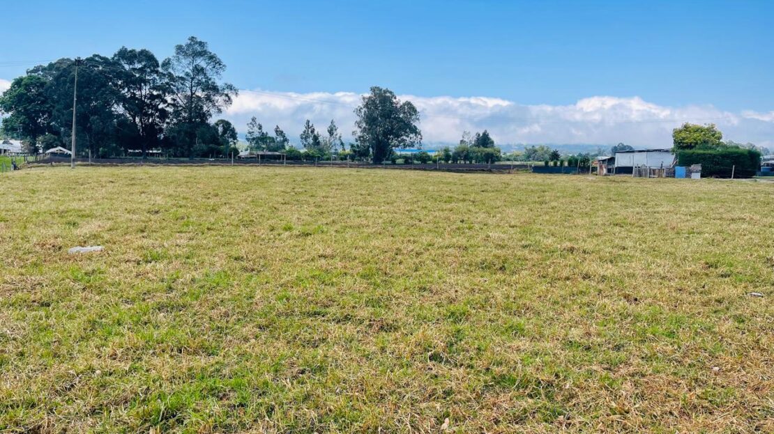 WhatsApp Image 2024 04 27 at 11.12.02 22