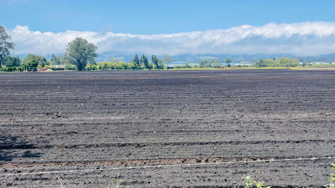 WhatsApp Image 2024 04 27 at 11.12.02 24